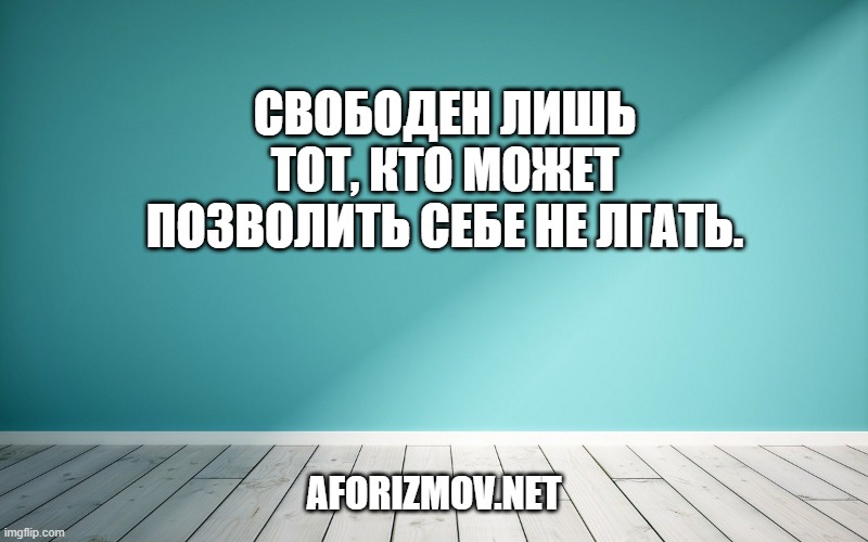 Свободен лишь тот, кто может позволить себе не лгать.