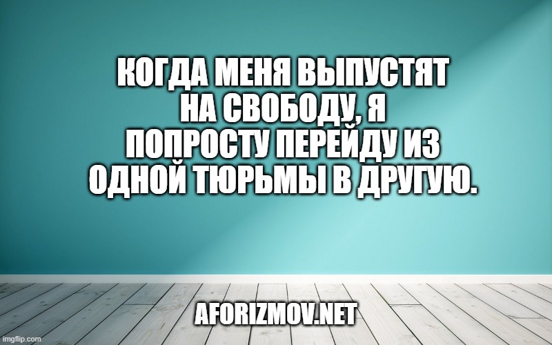 Когда меня выпустят на свободу, я попросту перейду из одной тюрьмы в другую.