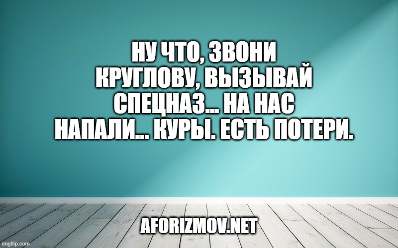 Ну что, звони Круглову, вызывай спецназ... На нас напали... куры. Есть потери.