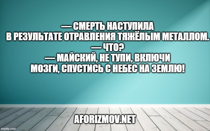 — Смерть наступила в результате отравления тяжёлым металлом.
— Что?
— Майский, не тупи, включи мозги, спустись с небес на землю!