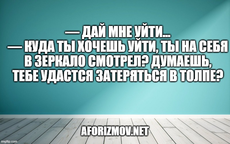 — Дай мне уйти...
— Куда ты хочешь уйти, ты на себя в зеркало смотрел? Думаешь, тебе удастся затеряться в толпе?