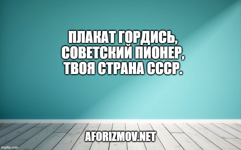 Плакат Гордись, советский пионер, твоя страна СССР.
