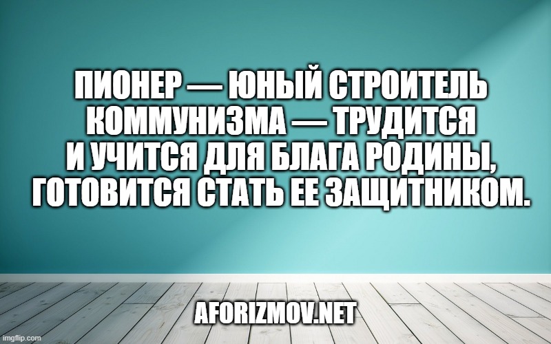 Пионер — юный строитель коммунизма — трудится и учится для блага Родины, готовится стать ее защитником.