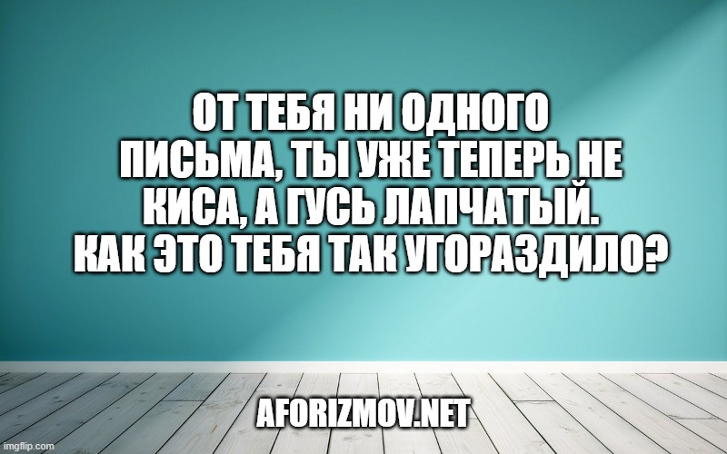 От тебя ни одного письма, ты уже теперь не Киса, а гусь лапчатый. Как это тебя так угораздило?