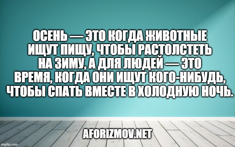 Осень — это когда животные ищут пищу, чтобы растолстеть на зиму, а для людей — это время, когда они ищут кого-нибудь, чтобы спать вместе в холодную ночь.