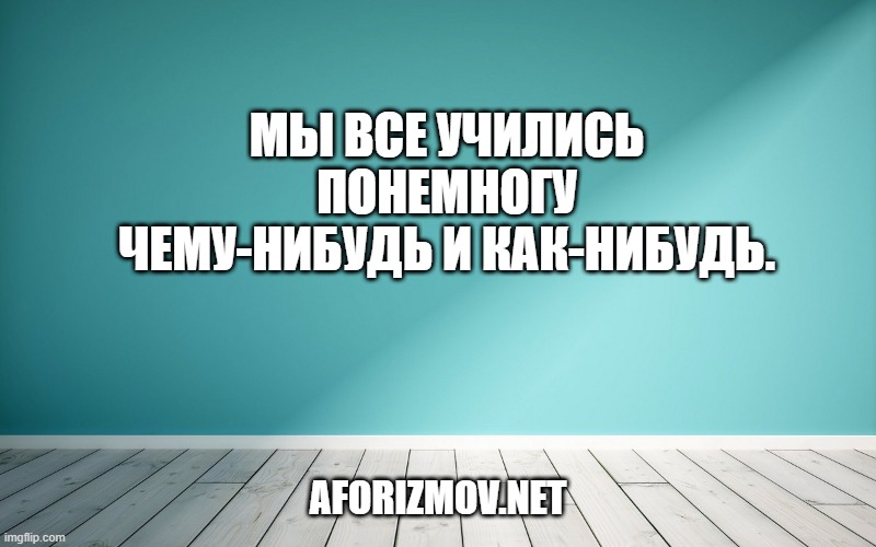 Мы все учились понемногу Чему-нибудь и как-нибудь.