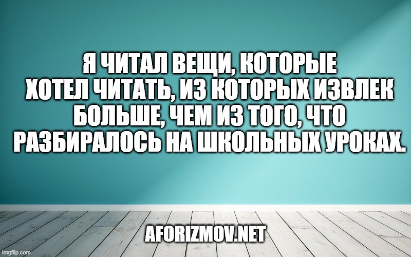 Я читал вещи, которые хотел читать, из которых извлек больше, чем из того, что разбиралось на школьных уроках.