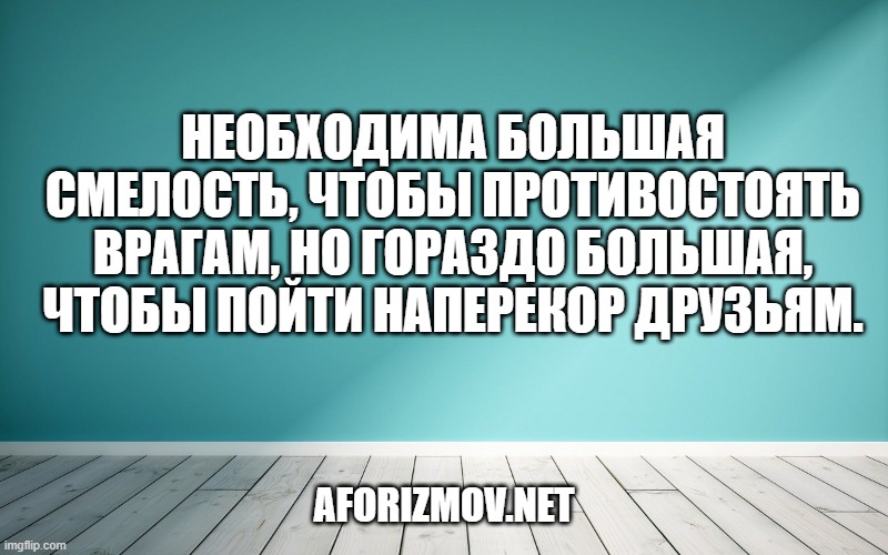 Необходима большая смелость, чтобы противостоять врагам, но гораздо большая, чтобы пойти наперекор друзьям.