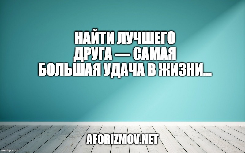 Найти лучшего друга — самая большая удача в жизни...