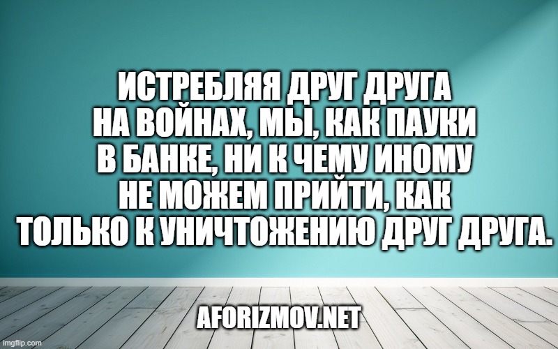 Истребляя друг друга на войнах, мы, как пауки в банке, ни к чему иному не можем прийти, как только к уничтожению друг друга.