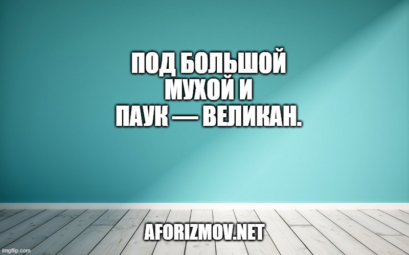 Под большой мухой и паук — великан.