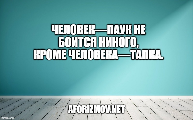 Человек—паук не боится никого, кроме человека—тапка.