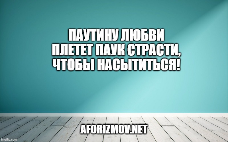Паутину любви плетет паук страсти, чтобы насытиться!