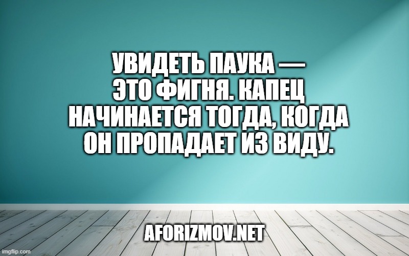 Увидеть паука — это фигня. Капец начинается тогда, когда он пропадает из виду.