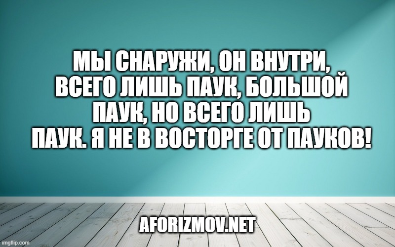 Мы снаружи, он внутри, всего лишь паук, большой паук, но всего лишь паук. Я не в восторге от пауков!