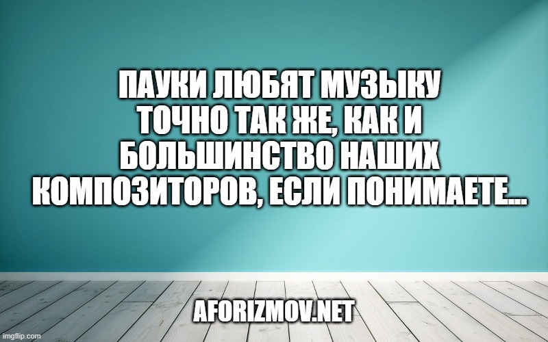 Пауки любят музыку точно так же, как и большинство наших композиторов, если понимаете...