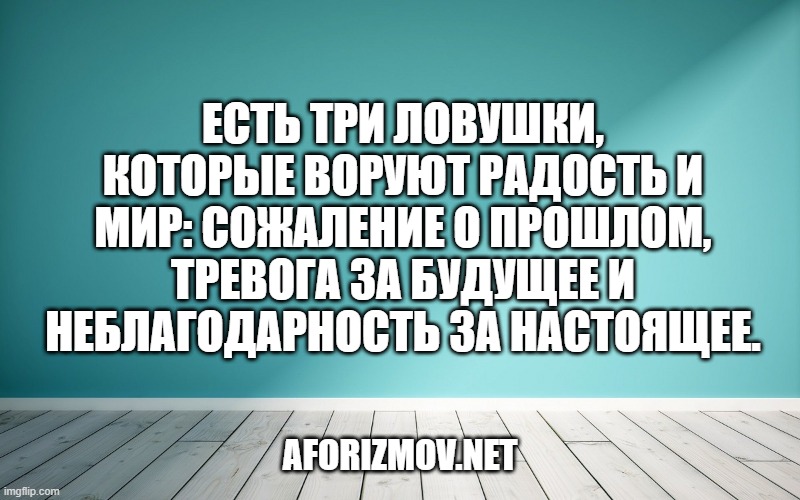 Есть три ловушки, которые воруют радость и мир: сожаление о прошлом, тревога за будущее и неблагодарность за настоящее.