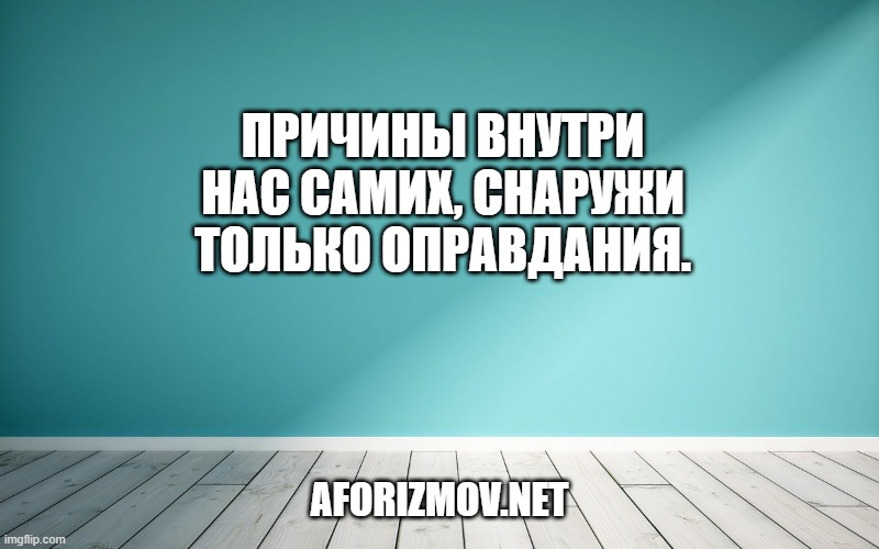 Причины внутри нас самих, снаружи только оправдания.