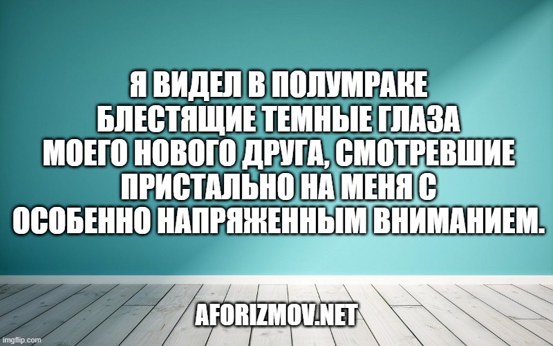 Я видел в полумраке блестящие темные глаза моего нового друга, смотревшие пристально на меня с особенно напряженным вниманием.