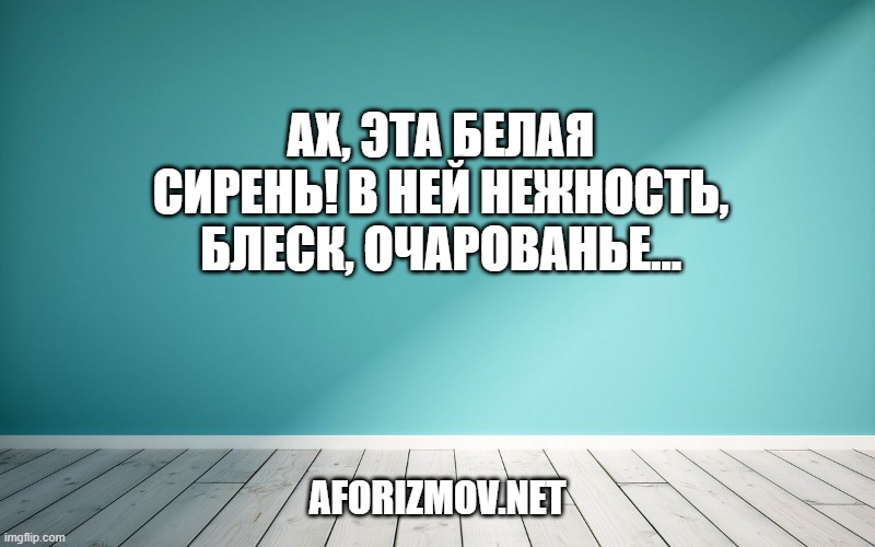 Ах, эта белая сирень! В ней нежность, блеск, очарованье…