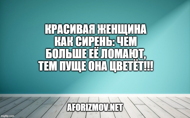 Красивая женщина как сирень: чем больше её ломают, тем пуще она цветёт!!!