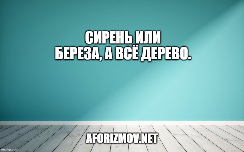 Сирень или береза, а всё дерево.