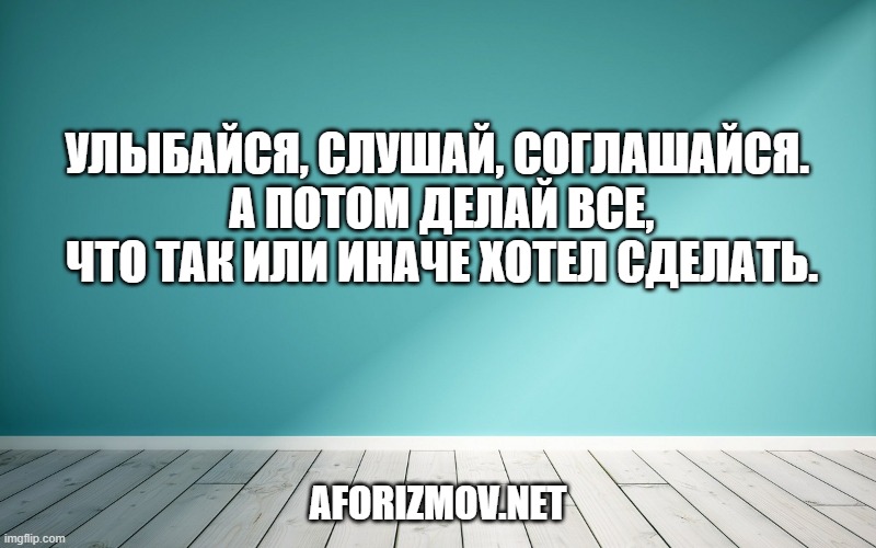 Улыбайся, слушай, соглашайся. А потом делай все, что так или иначе хотел сделать.