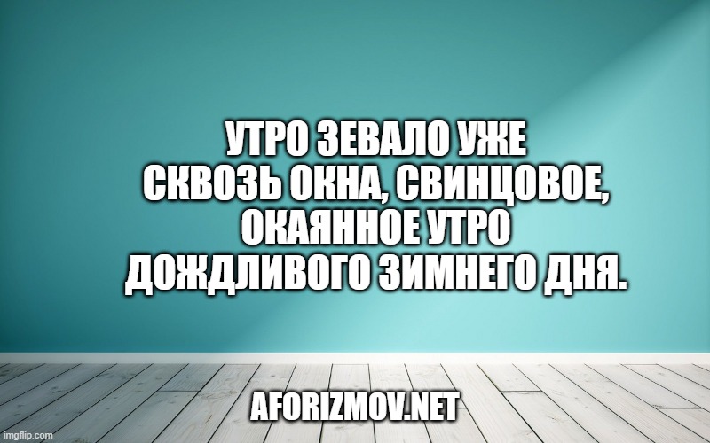 Утро зевало уже сквозь окна, свинцовое, окаянное утро дождливого зимнего дня.