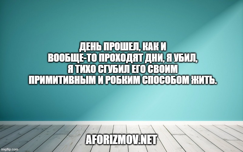 День прошел, как и вообще-то проходят дни, я убил, я тихо сгубил его своим примитивным и робким способом жить.