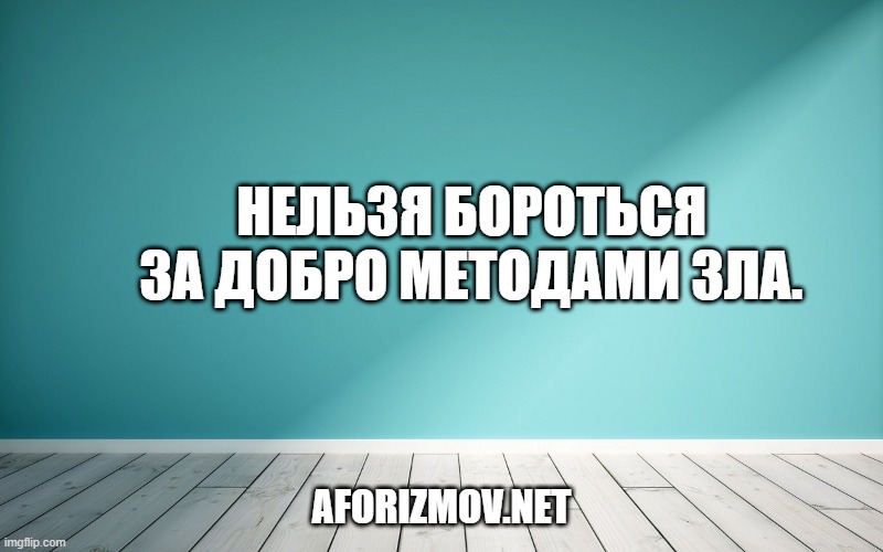 Нельзя бороться за добро методами зла.