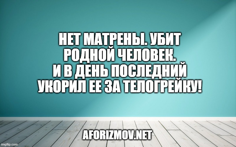 Нет Матрены. Убит родной человек. И в день последний укорил ее за телогрейку!