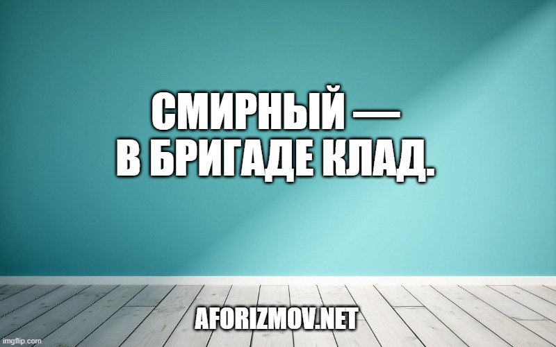 Смирный — в бригаде клад.