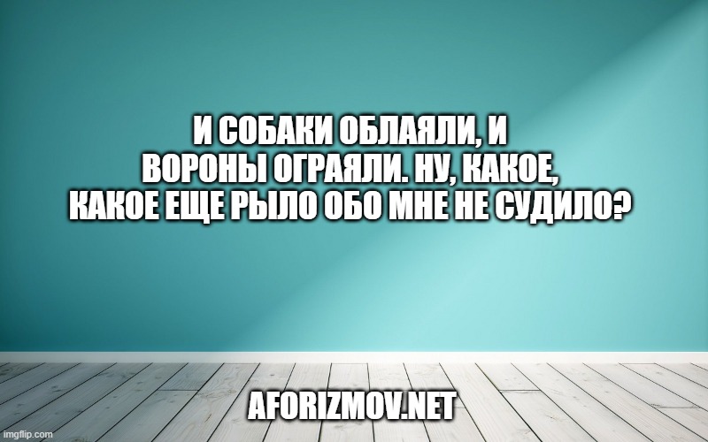 И собаки облаяли, и вороны ограяли. Ну, какое, какое еще рыло обо мне не судило?