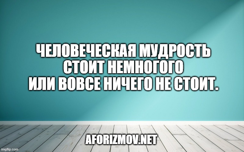 Человеческая мудрость стоит немногого или вовсе ничего не стоит.