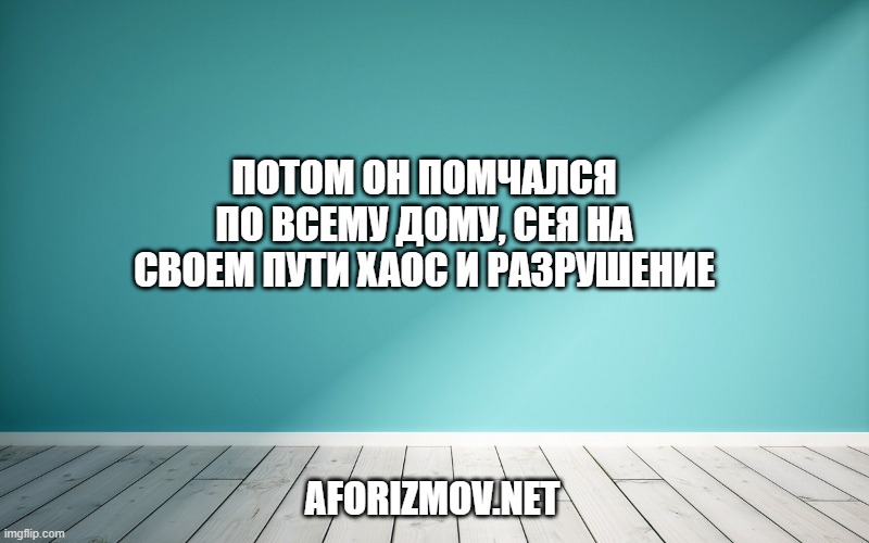 Потом он помчался по всему дому, сея на своем пути хаос и разрушение