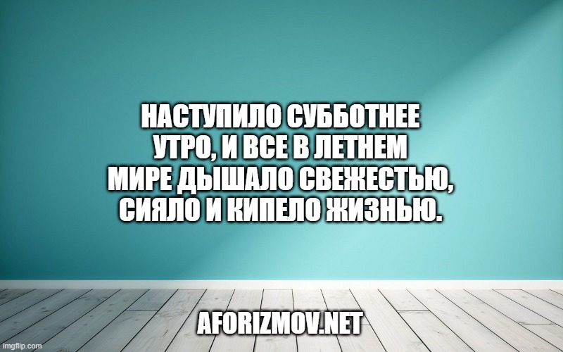 Наступило субботнее утро, и все в летнем мире дышало свежестью, сияло и кипело жизнью.