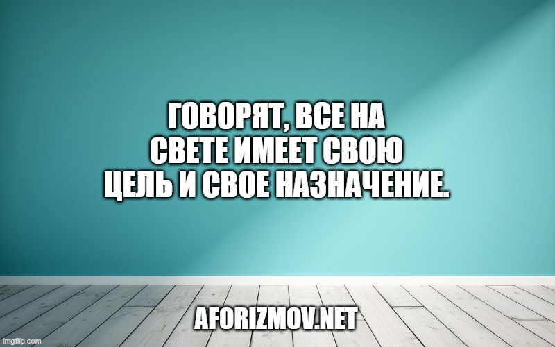 Говорят, все на свете имеет свою цель и свое назначение.