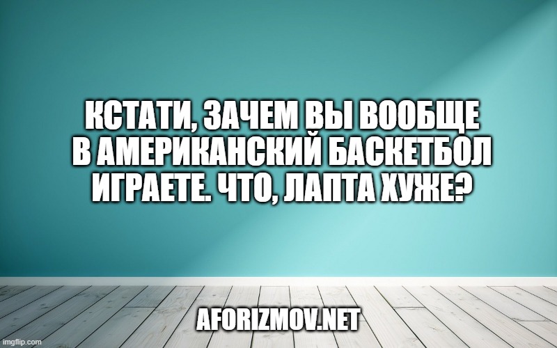 Кстати, зачем вы вообще в американский баскетбол играете. Что, лапта хуже?