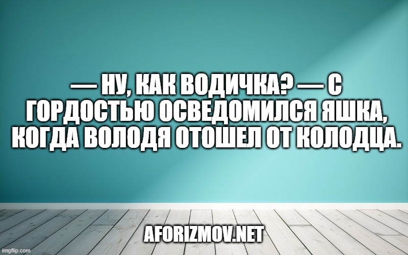 — Ну, как водичка? — с гордостью осведомился Яшка, когда Володя отошел от колодца.