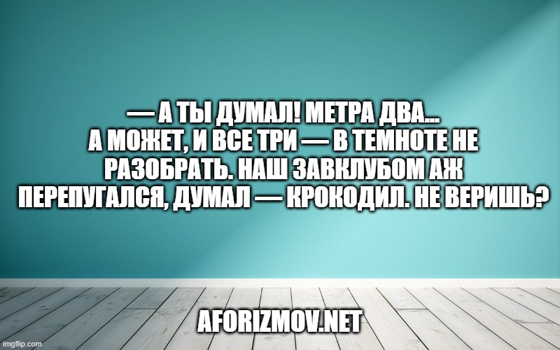 — А ты думал! Метра два... А может, и все три — в темноте не разобрать. Наш завклубом аж перепугался, думал — крокодил. Не веришь?