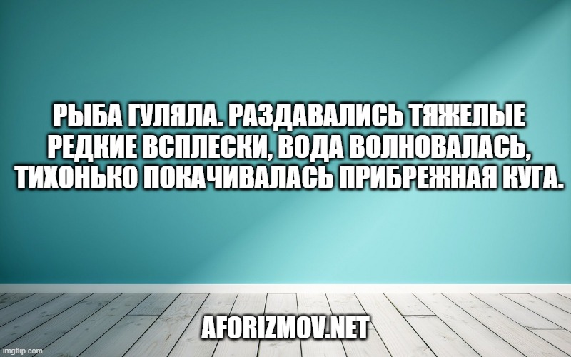 Рыба гуляла. Раздавались тяжелые редкие всплески, вода волновалась, тихонько покачивалась прибрежная куга.