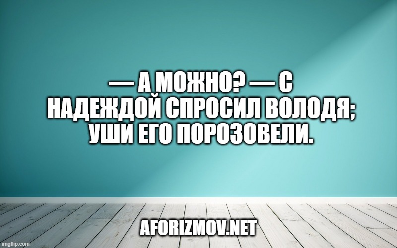 — А можно? — с надеждой спросил Володя; уши его порозовели.
