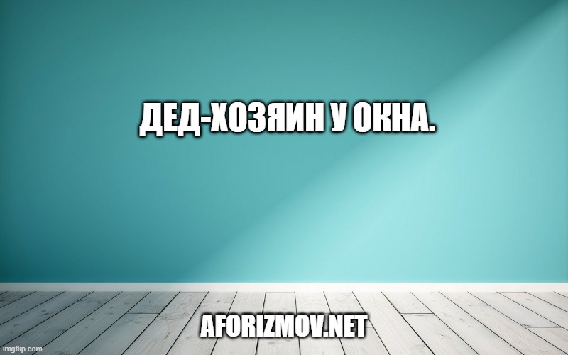Дед-хозяин у окна.