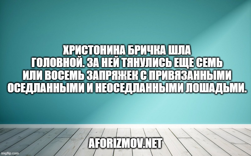 Христонина бричка шла головной. За ней тянулись еще семь или восемь запряжек с привязанными оседланными и неоседланными лошадьми.