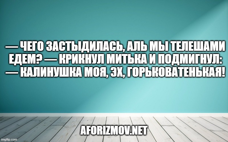 — Чего застыдилась, аль мы телешами едем? — крикнул Митька и подмигнул: — Калинушка моя, эх, горьковатенькая!