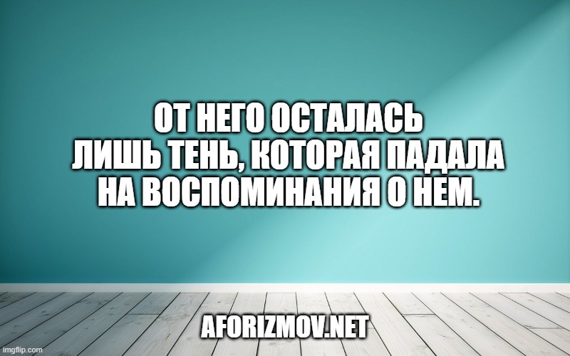 От него осталась лишь тень, которая падала на воспоминания о нем.