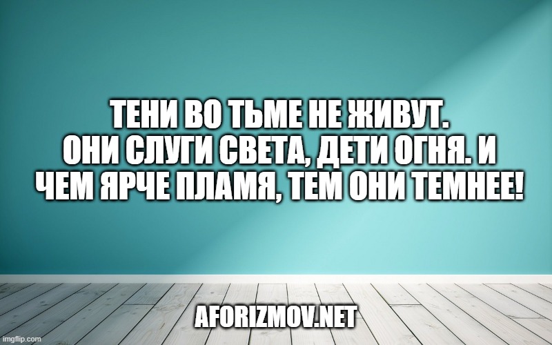 Тени во тьме не живут. Они слуги света, дети огня. И чем ярче пламя, тем они темнее!