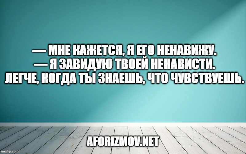 — Мне кажется, я его ненавижу.
— Я завидую твоей ненависти. Легче, когда ты знаешь, что чувствуешь.