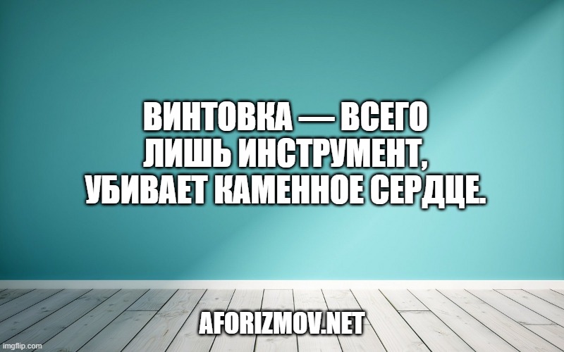 Винтовка — всего лишь инструмент, убивает каменное сердце.