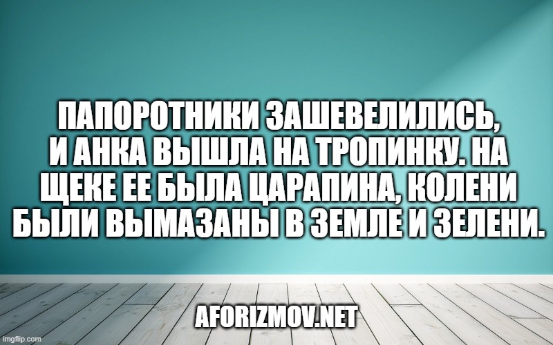 Папоротники зашевелились, и Анка вышла на тропинку. На щеке ее была царапина, колени были вымазаны в земле и зелени.
